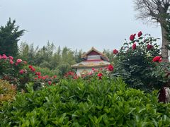 -洛阳白马寺