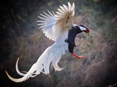 -沕沕水生态风景区