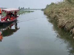 -白洋淀风景区