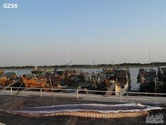 -大湾区中央湿地公园-十九涌
