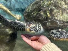 -福州罗源湾海洋世界旅游区