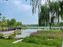 -西海子公园