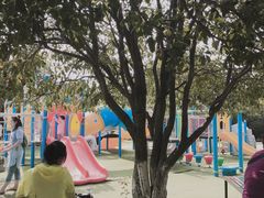 -白马涧龙池景区