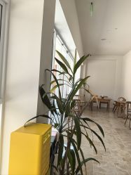 -WAVE SODA摄影工作室