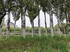 -阿尔丁植物园