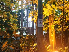 -南山植物园