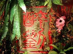 -醉小酒馆·川菜·江湖菜·重庆菜(观音桥旗舰店)