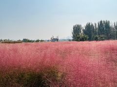 -汉长安城未央宫国家考古遗址公园