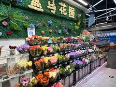 -盒马鲜生(红莲店)