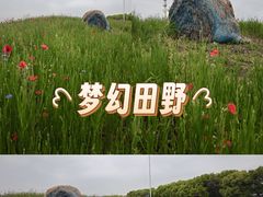 -嘉北郊野公园