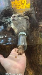 -Zoolung Zoolung动物主题公园(海信广场店)