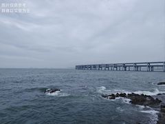 -星海湾跨海大桥