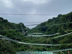 -长沙黑麋峰国家森林公园