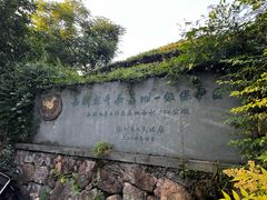 -龙井村