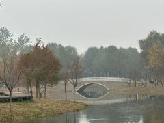 -东郊湿地公园