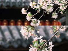 -龙华寺