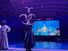-海合安武汉极地海洋公园