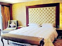 -圣爵菲斯大酒店(长沙世界之窗店)