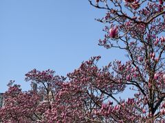 -世纪公园-世纪春沁园