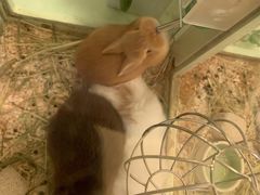 -龙猫仔乐园(惠福东路店)