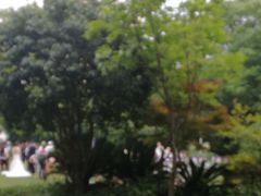 -汾阳花园酒店·餐厅(徐汇店)