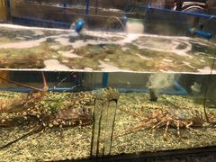 -Isla Sugbu Seafood City