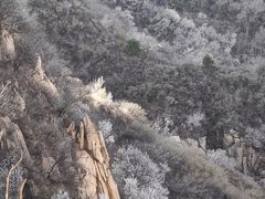 -妙峰山风景名胜区