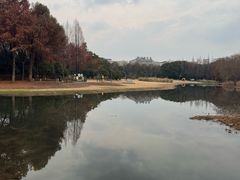 -长广溪湿地公园