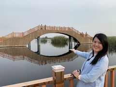 -白洋淀景区