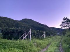 -大连天门山国家森林公园