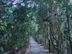 -水濂山森林公园