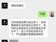 -福州肆爪动物医院