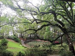 -香港大学