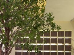 -静耳元気采耳·按摩·SPA(万象前海店)