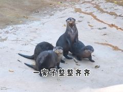 -昆明动物园