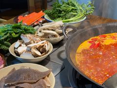 -阳阳老火锅(小南门店)