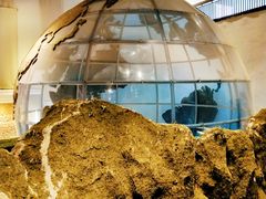 -房山世界地质公园博物馆