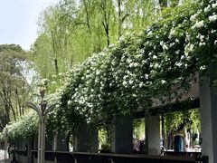 -四川大学(望江校区)