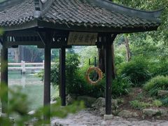 -杭州植物园
