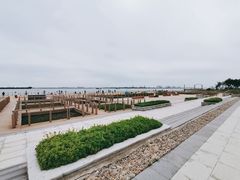 -东疆建设开发纪念公园