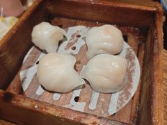 -琼海·狮椰美食楼
