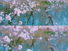 -满都海公园