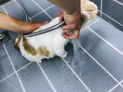 -嘉馨宠物医院·CT影像转诊·心脏科·犬猫全科诊疗中心(下沙大学城院区)