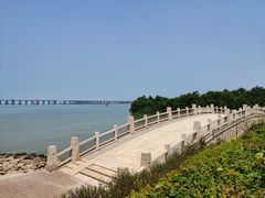 -宝安西湾红树林湿地公园