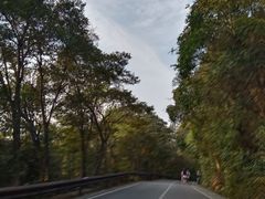 -梧桐山风景名胜区