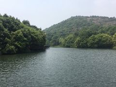 -白马涧龙池景区