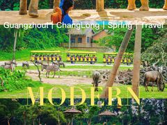 -广州长隆野生动物世界