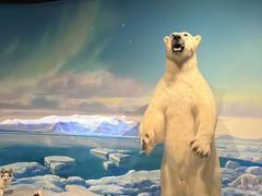 -陕西自然博物馆