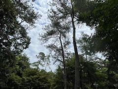 -灵隐飞来峰景区