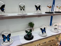 -生命奥秘博物馆